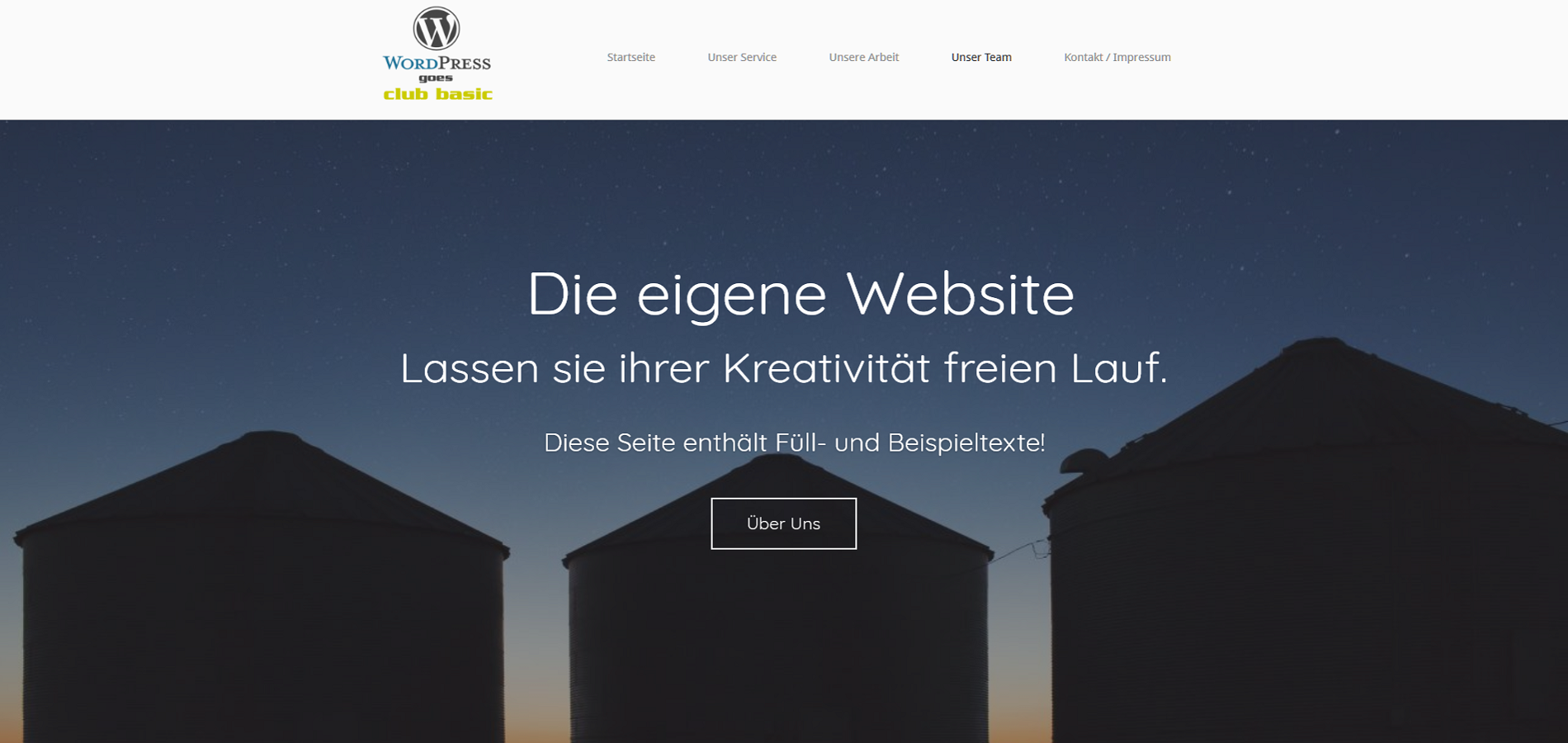 Wordpress Website Wordpress goes club basic